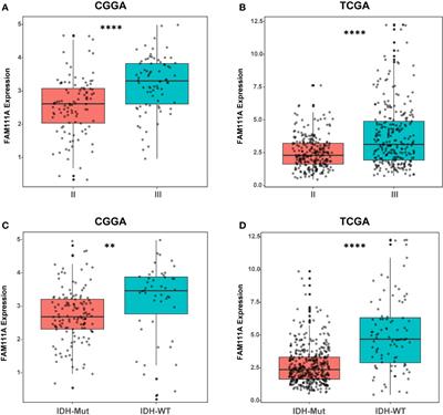 Molecular and Clinical Characterization of a Novel Prognostic and Immunologic Biomarker FAM111A in Diffuse Lower-Grade Glioma